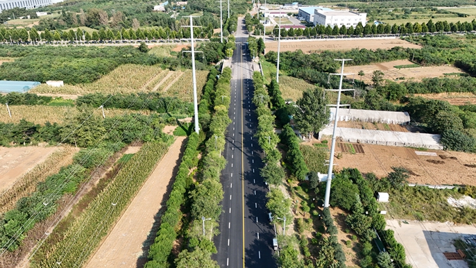 隆金路